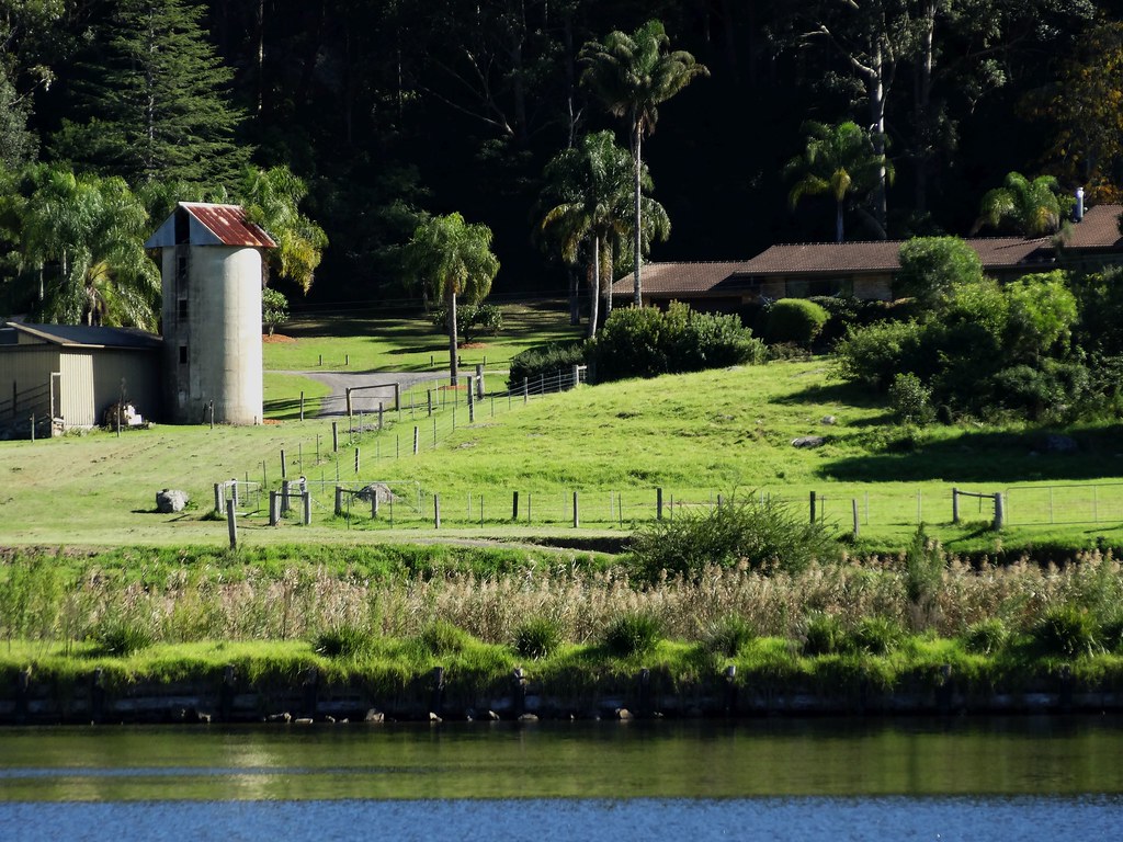 Near Nowra. Farm along the Shoalhaven River with a typical… Flickr