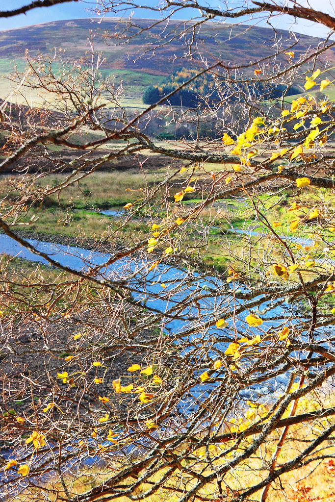 Scottish Borders near Heriot Mike Flickr
