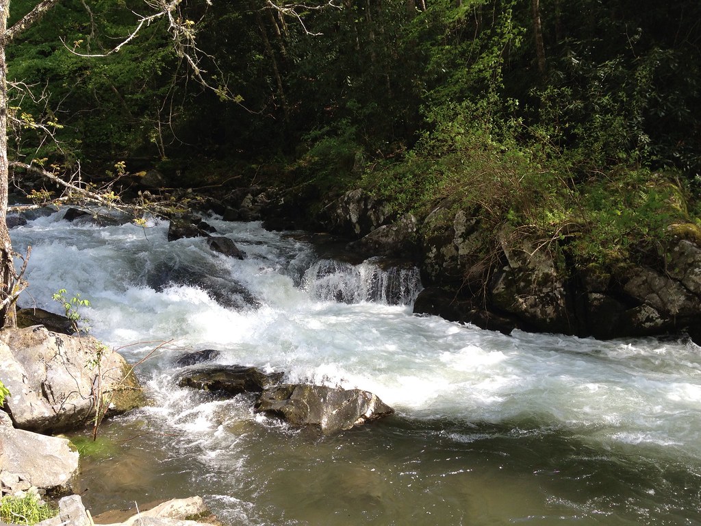 Mystic Ridge in the Nantahala LandSource Properties Flickr