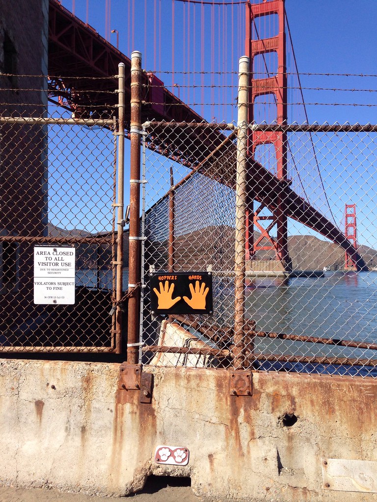 Hoppers Hands Apparently Hopper was an iron worker who sav… Flickr