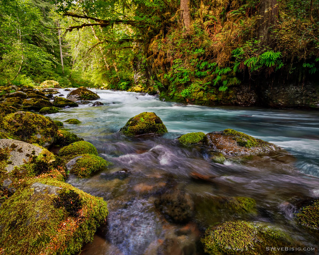 Big Quilcene River, Washington, 2013 The Big Quilcene Rive… Flickr