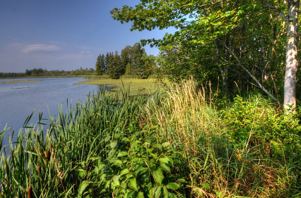 Glenwood Pond Stephen Downes Flickr