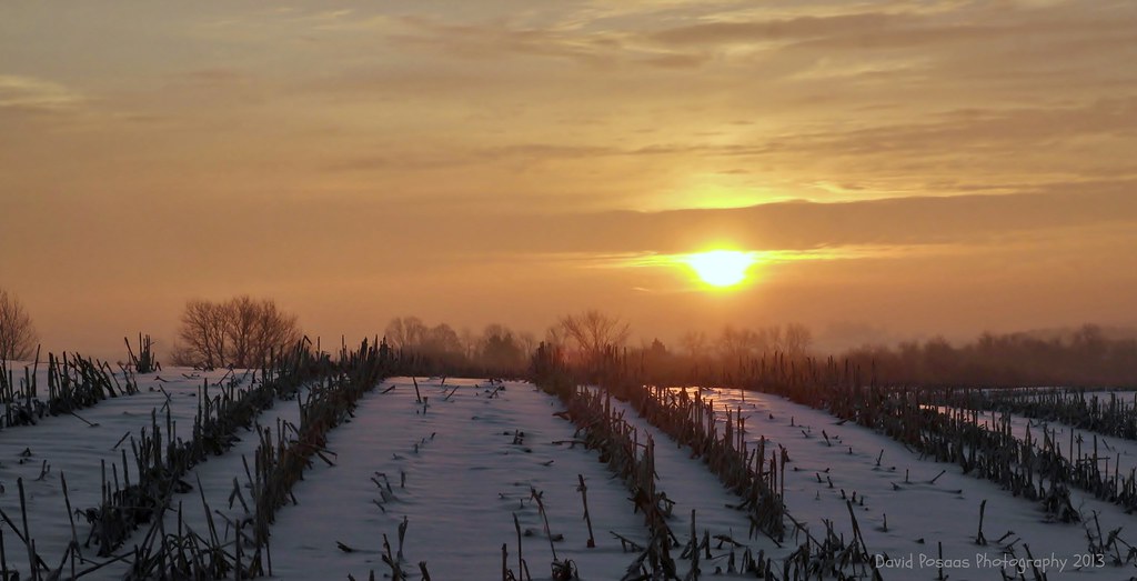 More farmland along Hwy 33 near La Crosse, Wis. David Posaas Flickr