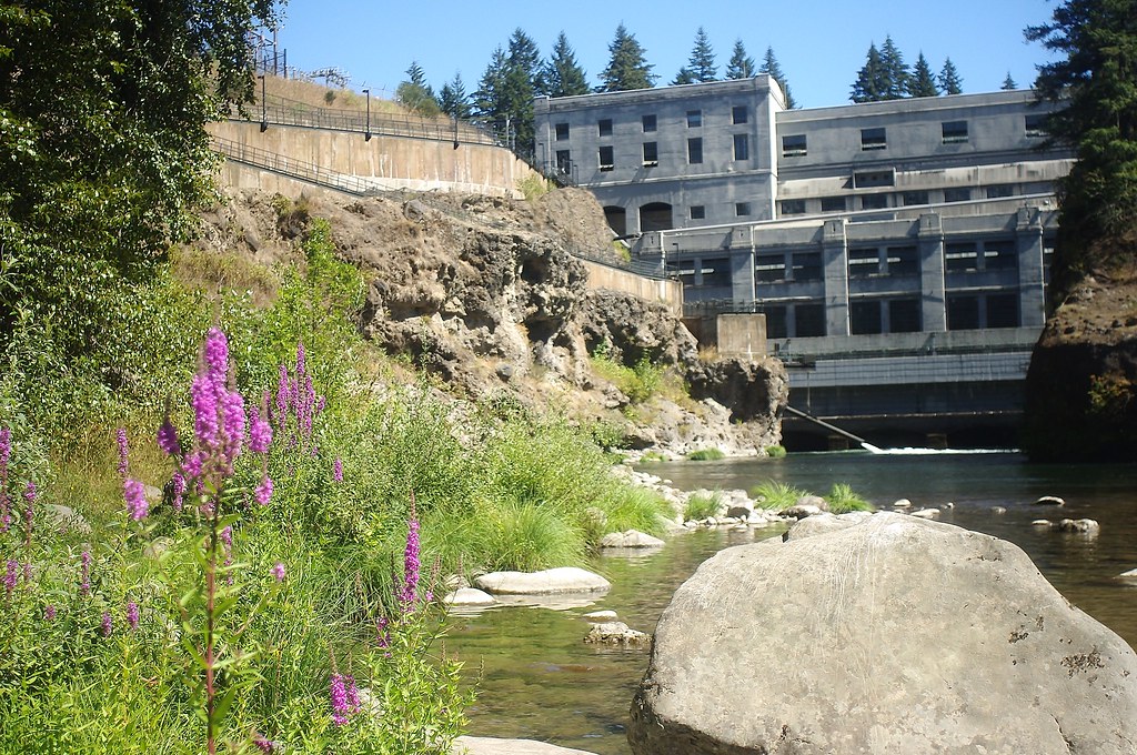Estacada Lake, OR Ollie Bates Flickr