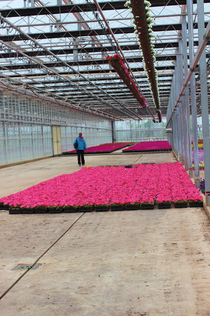 Catoctin Mountain Growers 011 Bernie Rogers Flickr