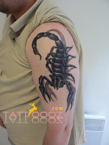 Scorpion Tribal Tattoo | Popular Scorpion Tribal Tattoo And … | Flickr 500_x_375_jpg