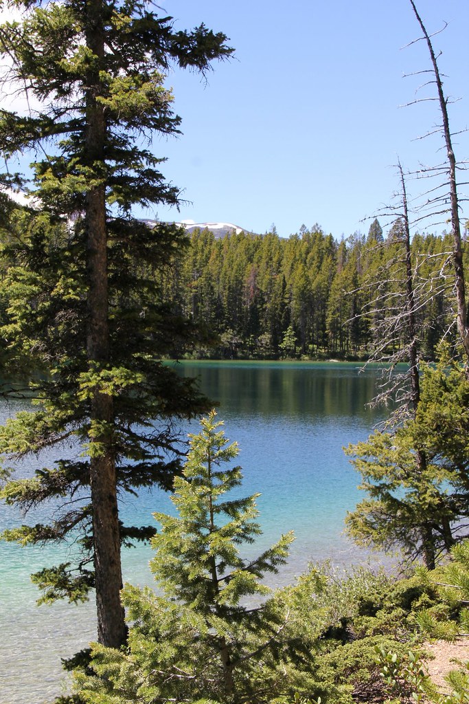 Heart Lake A scenic view of Heart Lake in the Scapegoat Wi… Flickr
