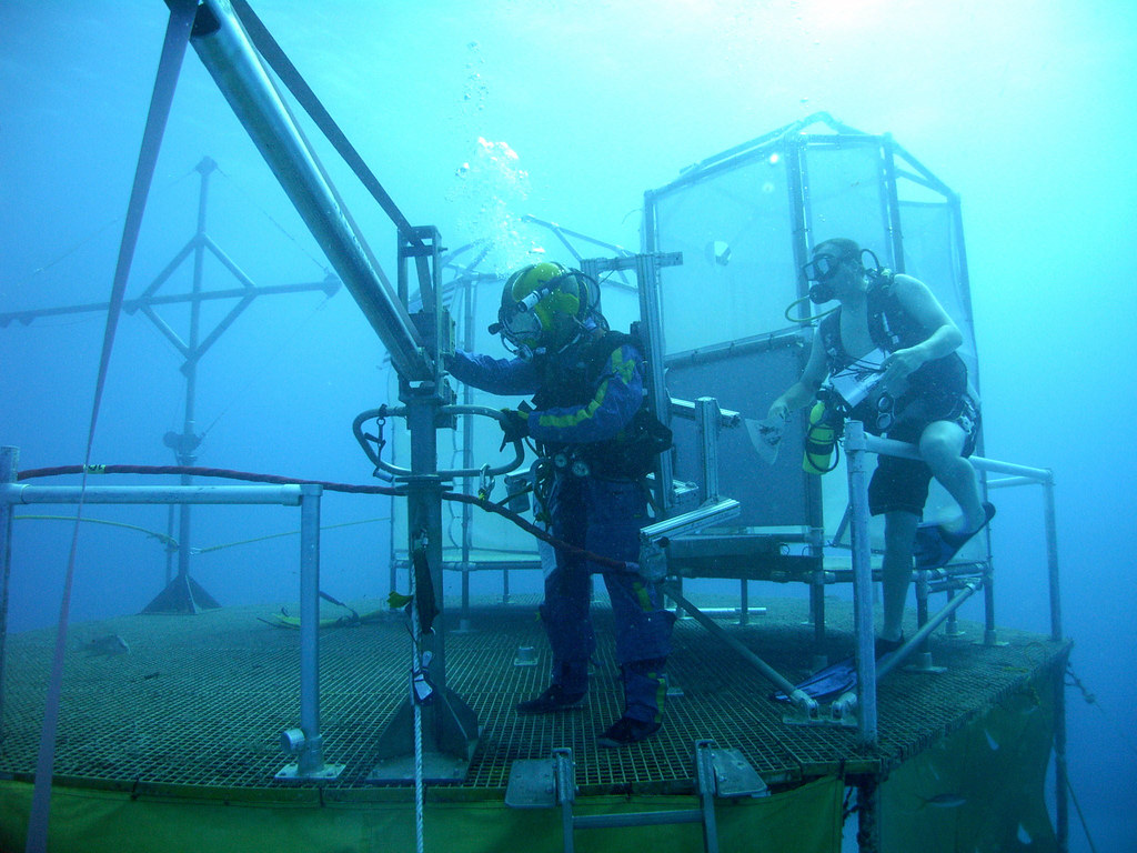 jsc2010e081987 JSC2010E081987 (15 May 2010) A NEEMO … Flickr