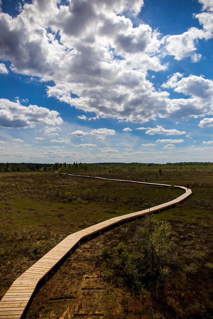 _MG_1203.jpg Elora Cook Flickr