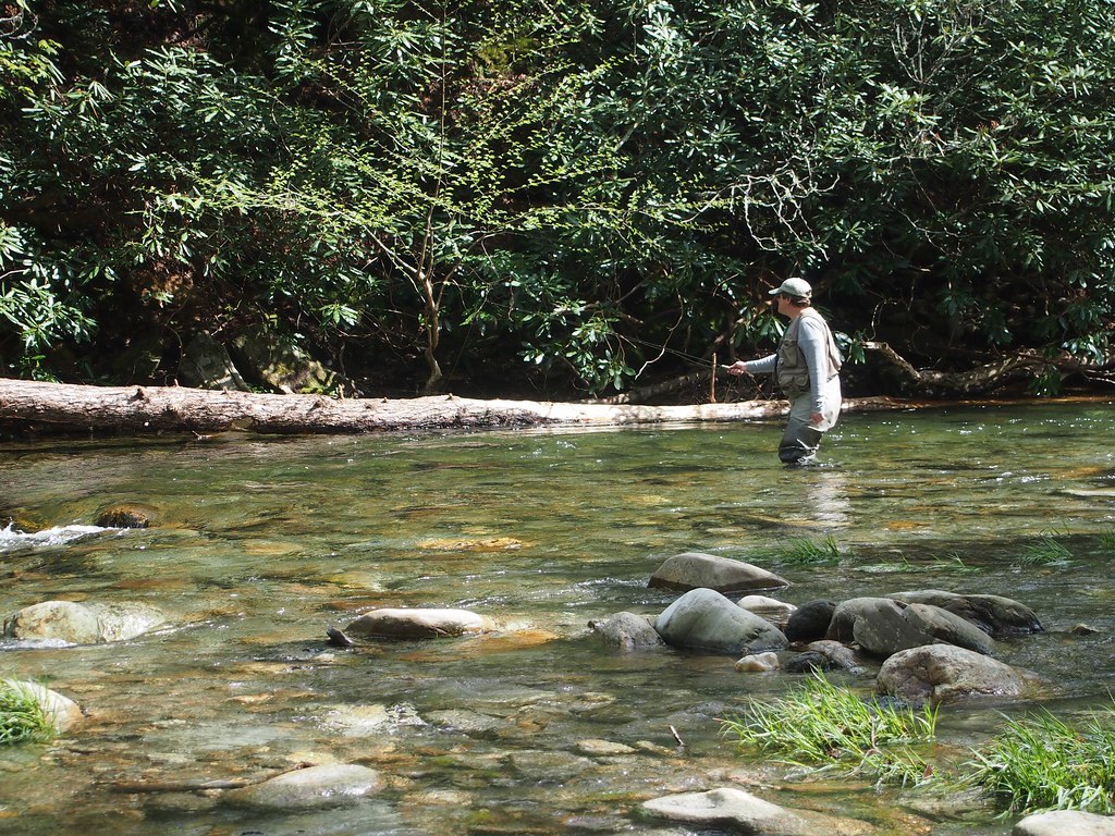 Carey Fishing I South Toe River, Yancey County, NC SurlyBVisits