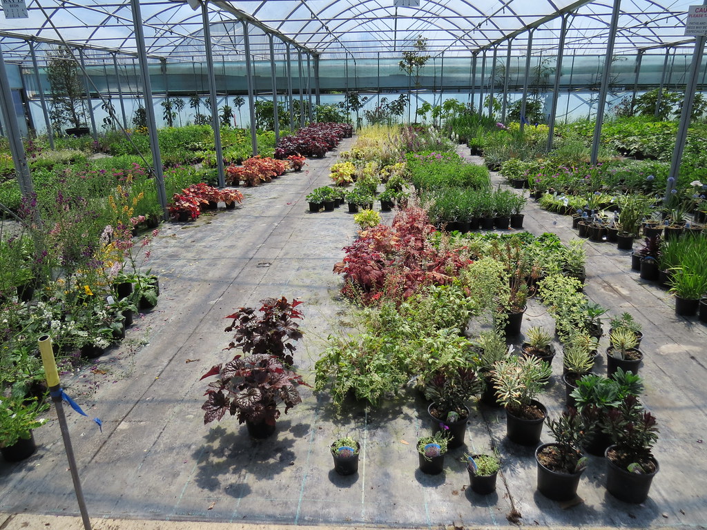 Downside Nurseries, Upper Westwood, BradfordonAvon, Wilt… Flickr