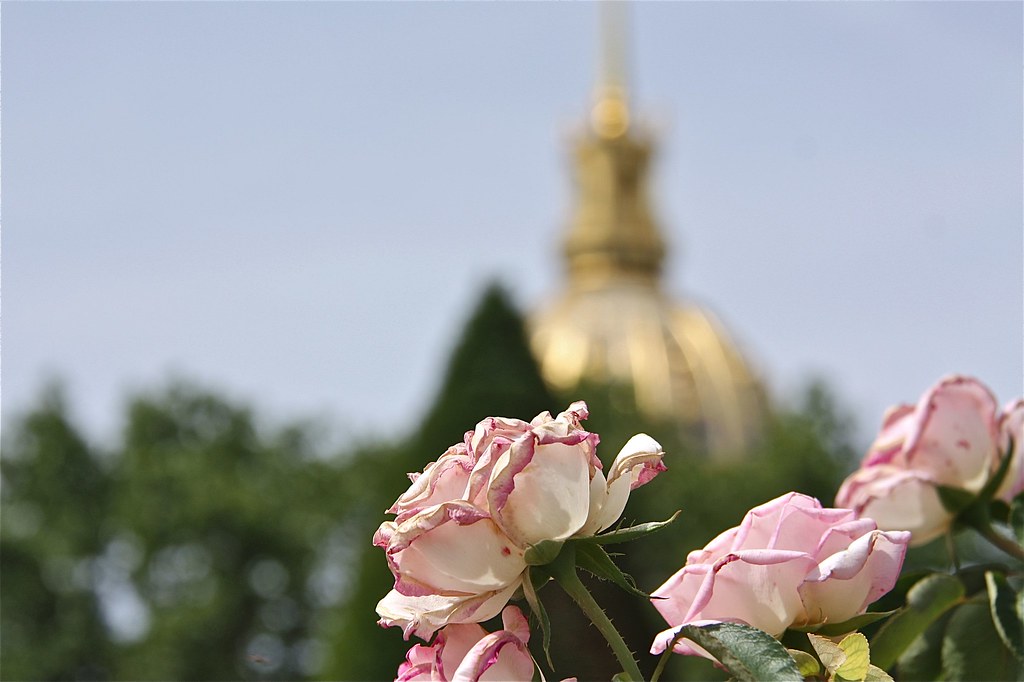 Rose Garden Rodin Museum 03 Paris smilla4 Flickr