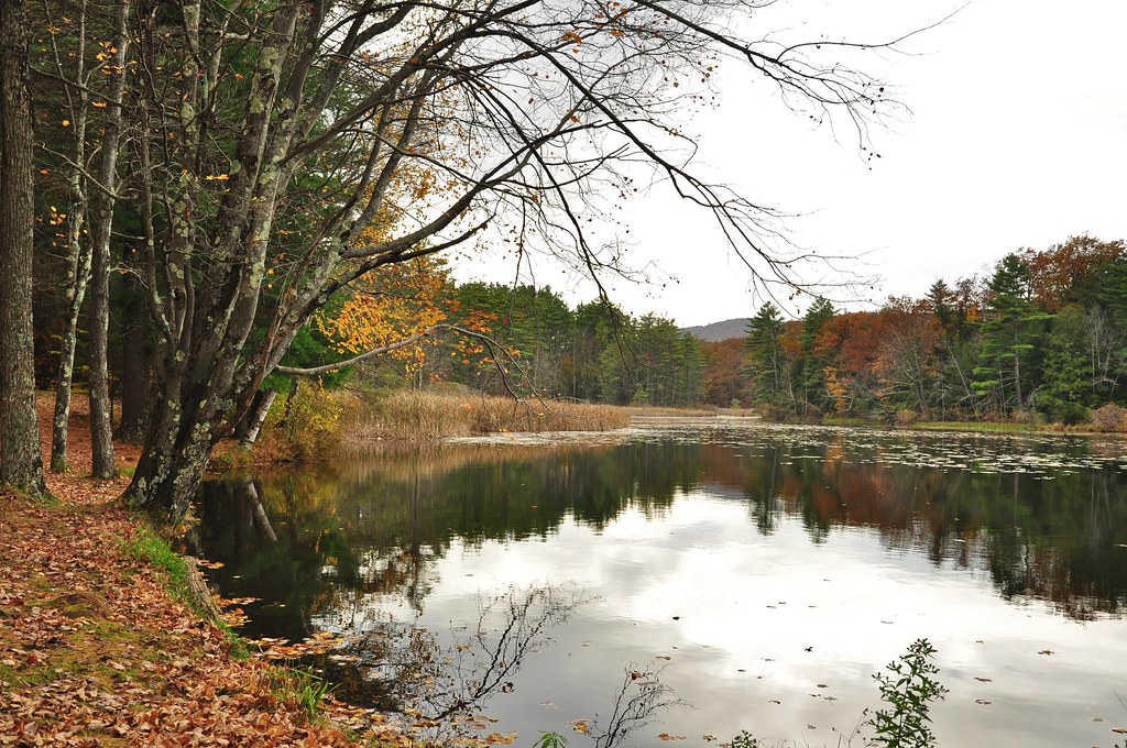 DSC_0774 Lake Shaftsbury, Vermont richard norberg Flickr