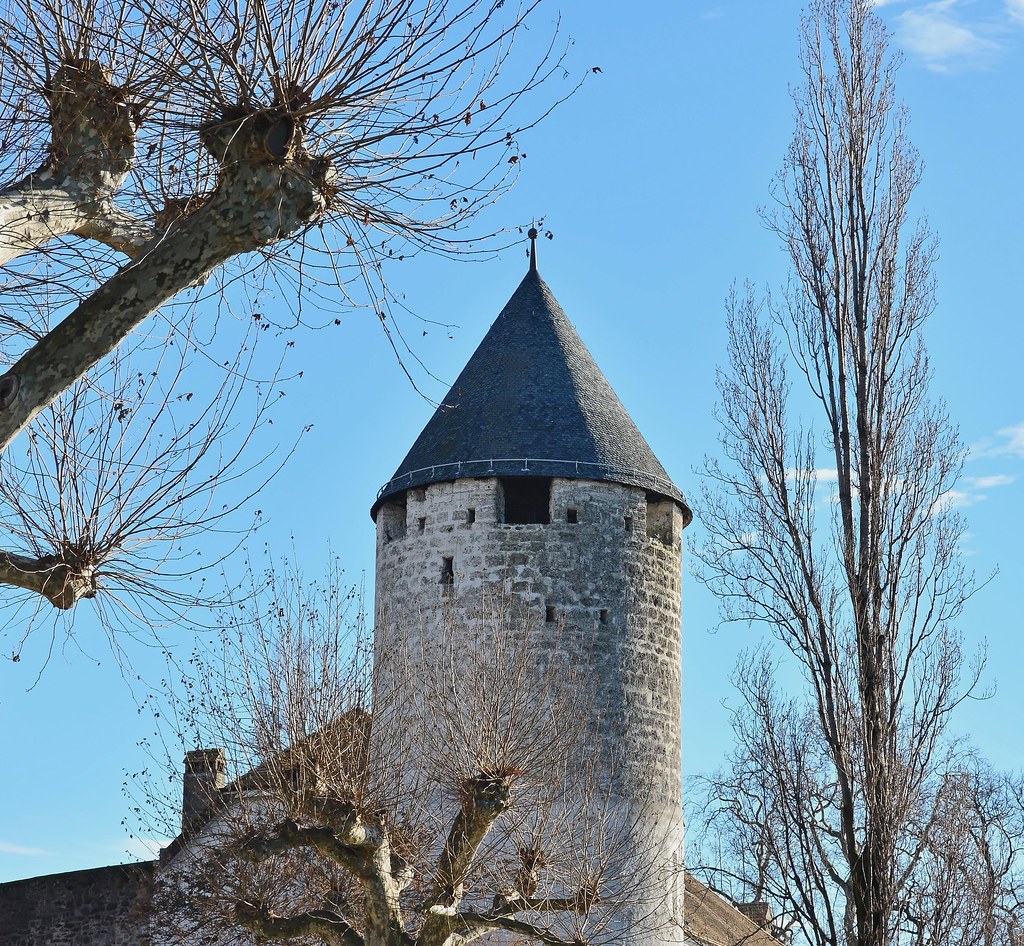 Château de La Tour de Peilz Château et musée du jeu... Con… Flickr