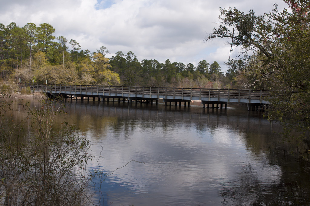 Blackwater River State Park, Florida A very high Blackwate… Flickr