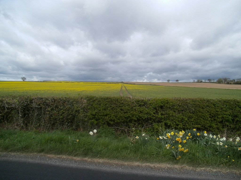 Fields, Weston Road, Aston on Trent/Weston On Trent, Derby… Flickr