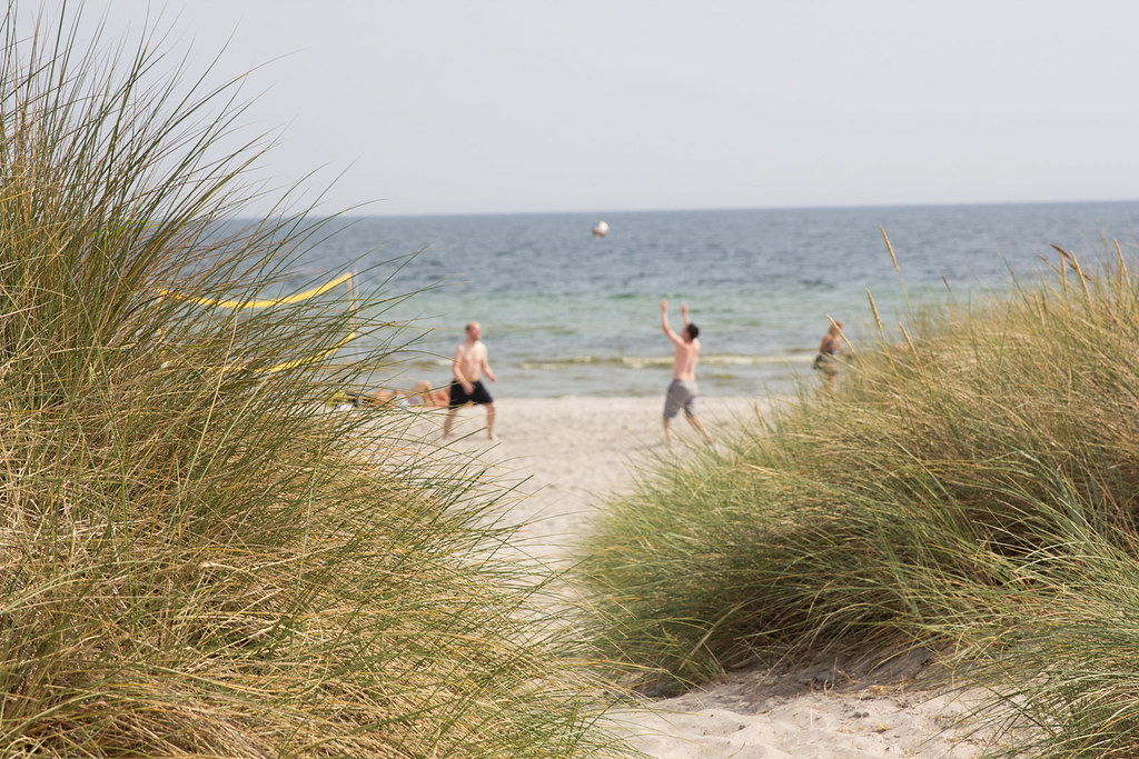 IMG_2667 Ishøj Kommune Flickr