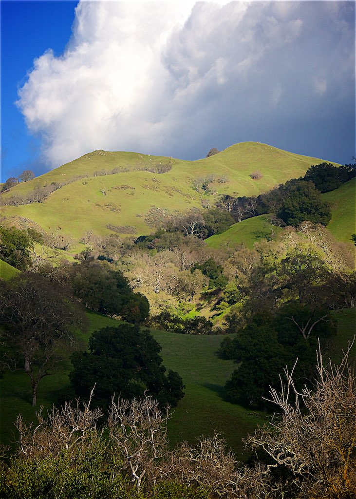 Sunol Hills Charlie Day Flickr