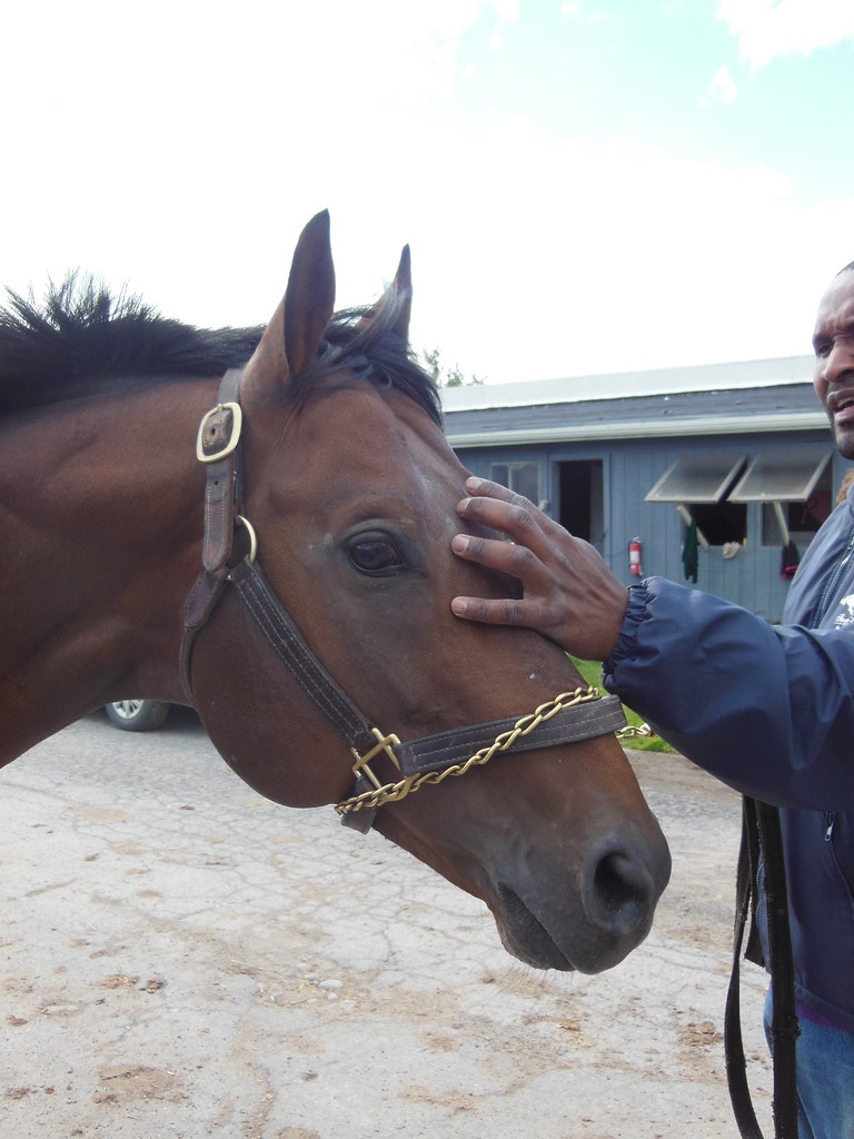 SZ madison Neville petting FingerLakesFinest Flickr