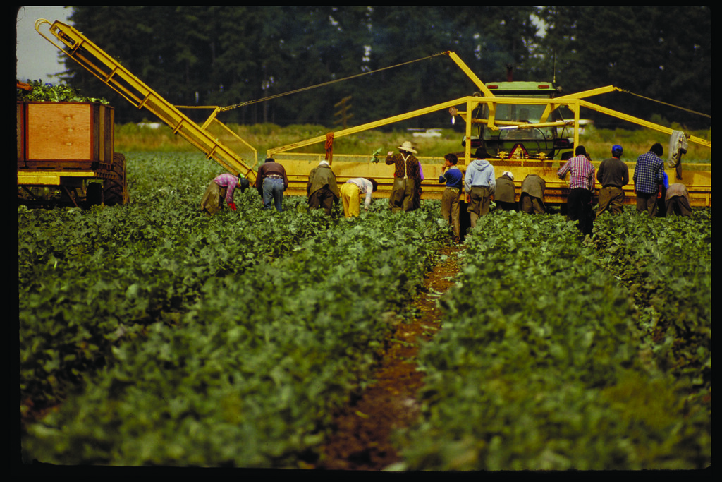 Farm workers Oregon Department of Agriculture Flickr