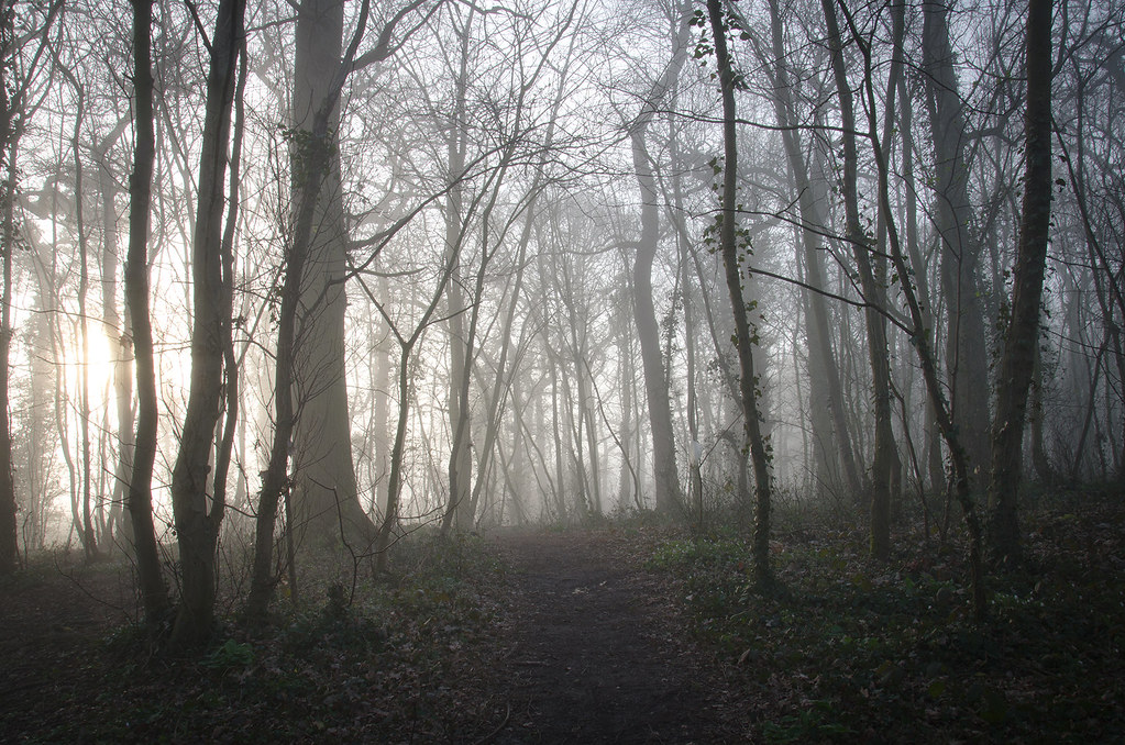 Elevation of Davenham, UK Topographic Map Altitude Map