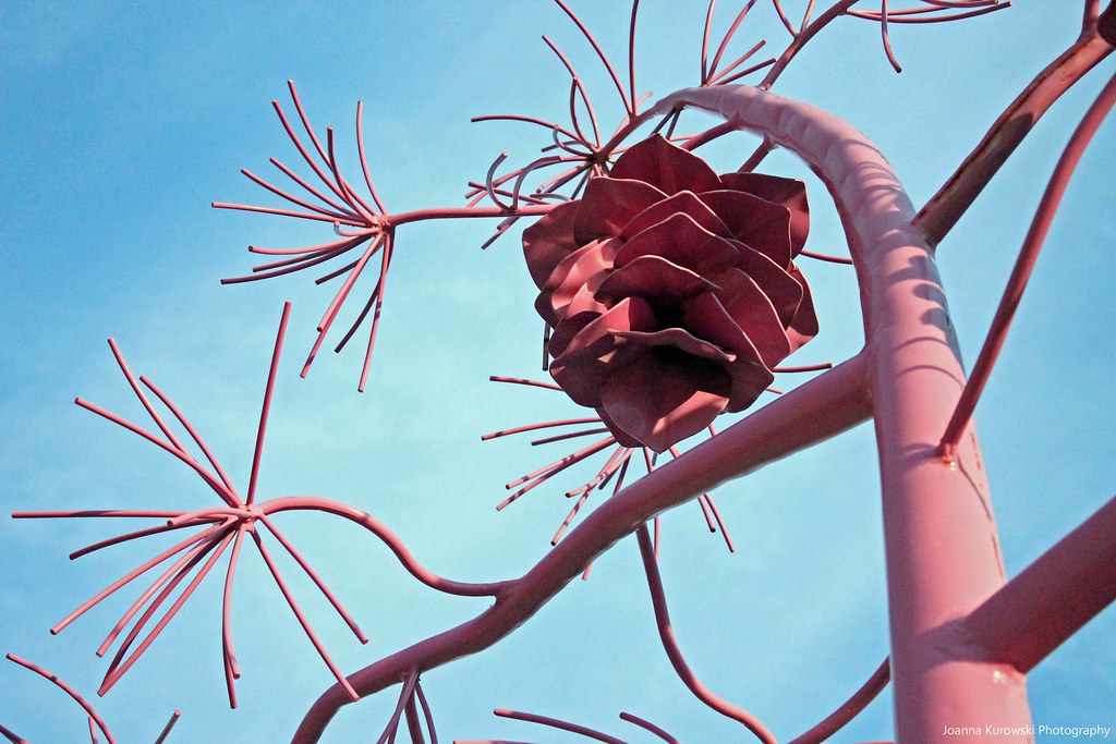 Metal trees in downtown London Ontario Joanna Kurowski Photography Flickr