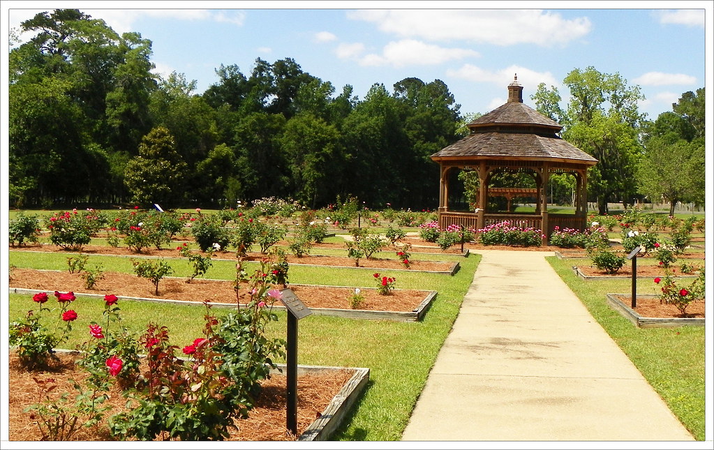 Rose Garden Gazebo Gazebos are situated through out the pa… Flickr