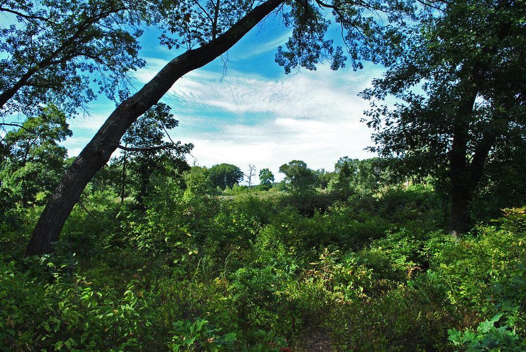 Muir Park State Natural Area Marquette Co., WI Aaron Carlson Flickr