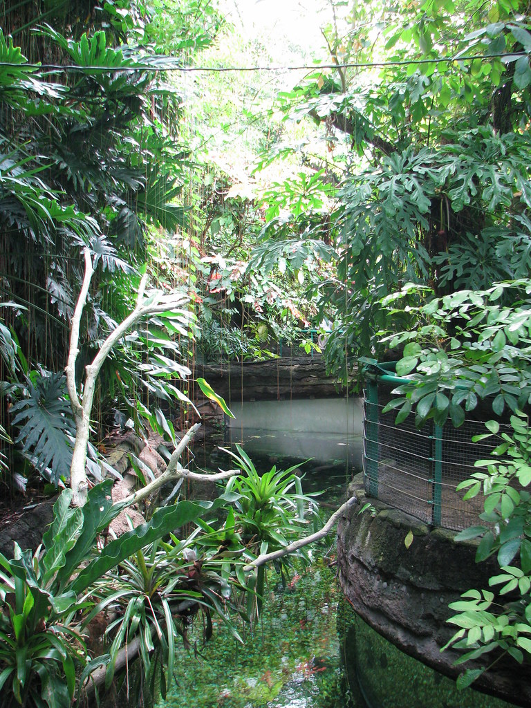 Washington National Zoo Amazonia Exhibit. The Smithsonian'… Flickr