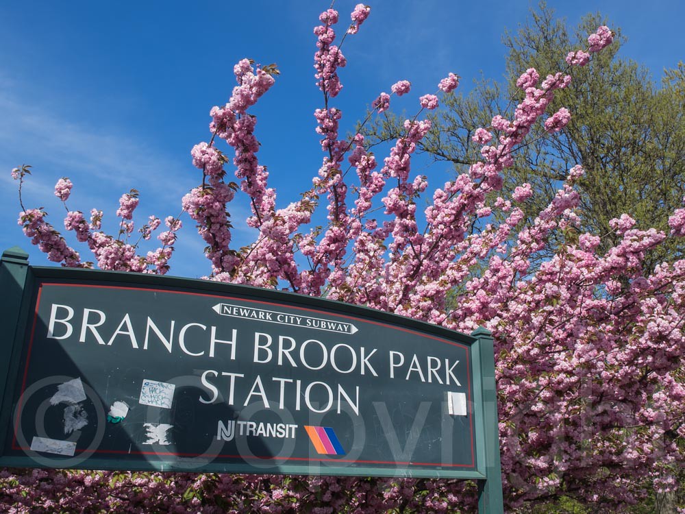 NJ Transit Branch Brook Park Station Sign, Newark, New Jer… Flickr