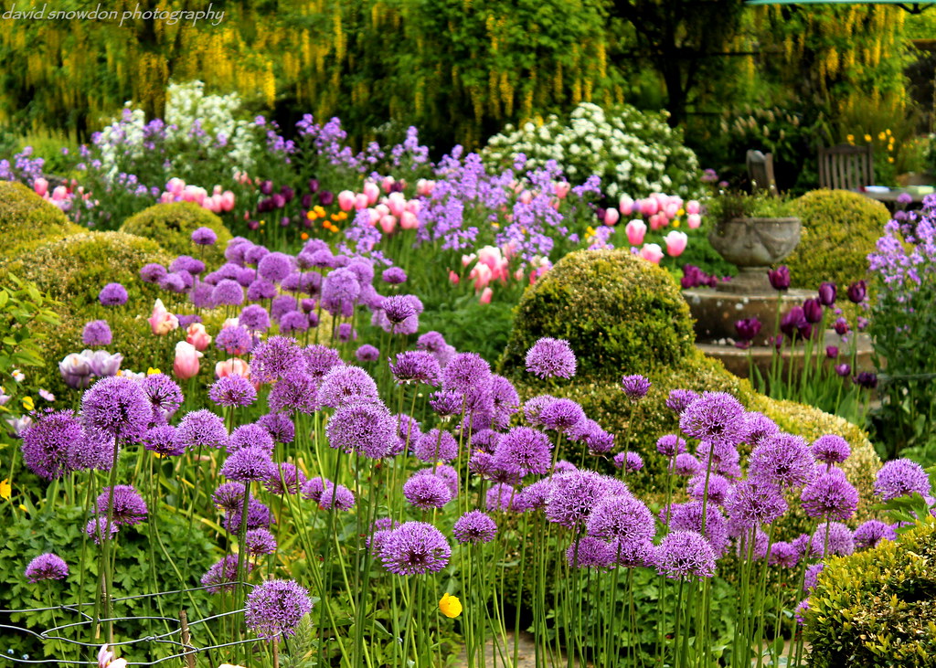 Arden Hall Gardens, North Yorkshire, June 2013 Flickr