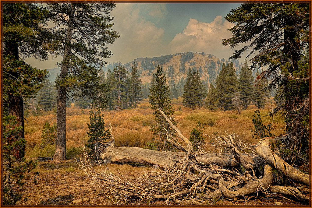 Sierra meadows Even with a little smoke at 8600 feet the u… Flickr