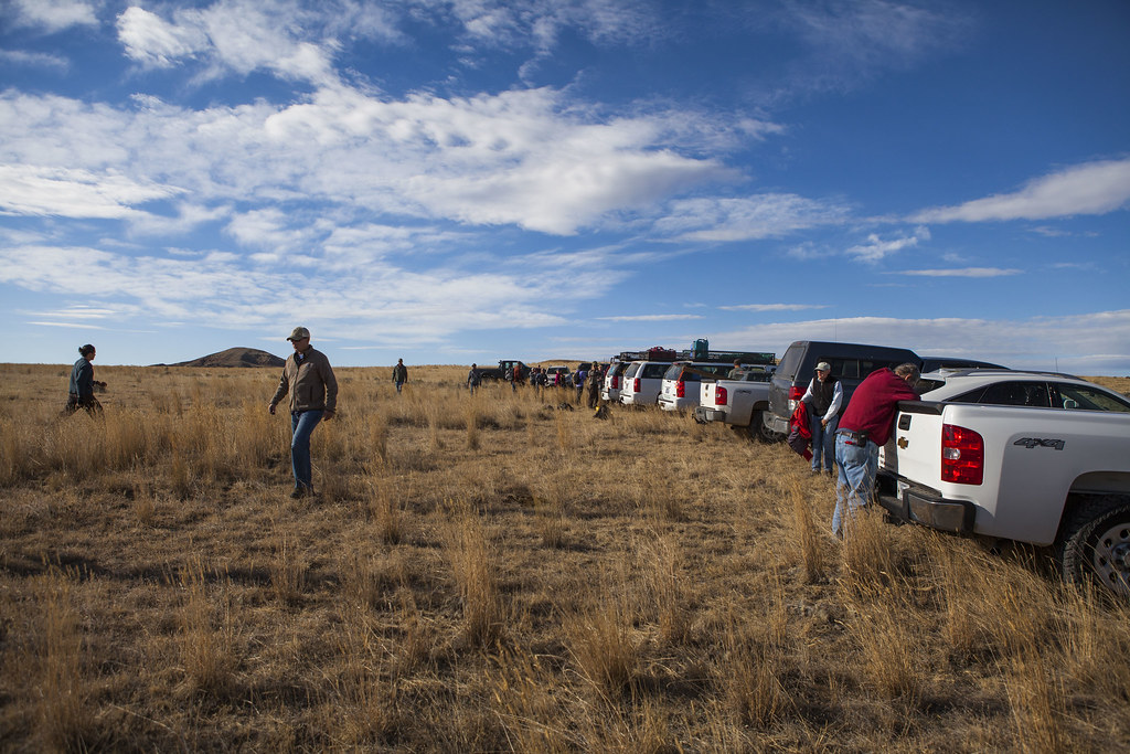 NPLD 2015 BLM Wyoming Help Wildlife The BLM Wyoming Cody … Flickr