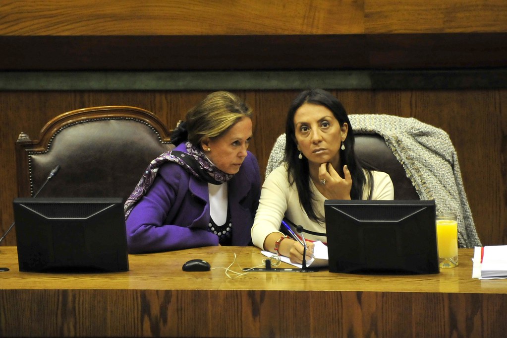Maria Angelica Cristi Diputada Maria Angelica Cristi, dial… Flickr