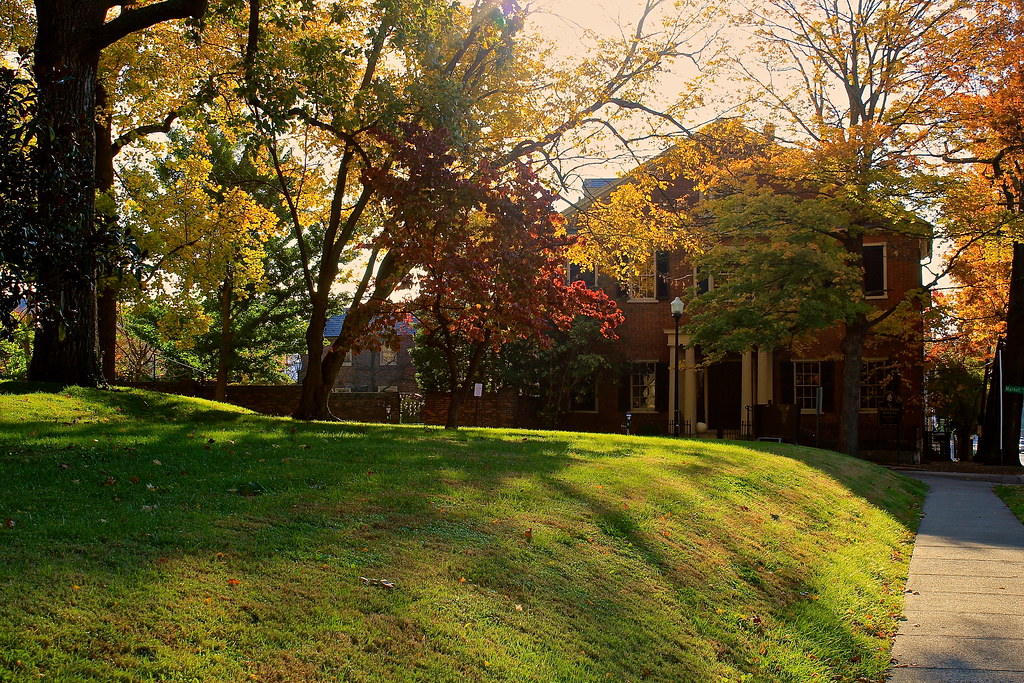 AUTUMN IN GRATZ PARK, LEXINGTON, KY, SATURDAY MORNING, NOV… Flickr
