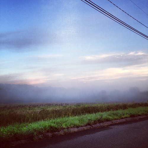 Arbutus St Middletown 550am freek418 Flickr