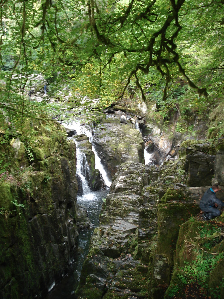 Birnam Woods LornaRphoto Flickr