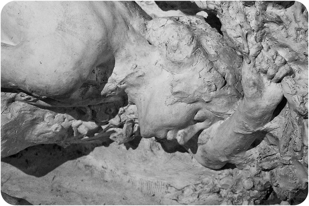 La mort de Narcisse, Louis Prost, 1906 Musée des BeauxArt… Flickr