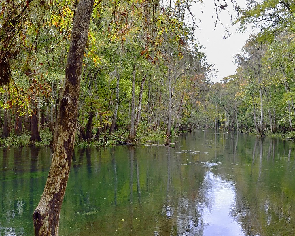 Ichetucknee River Ichetucknee River State Park, Florida Art Mullis Photography (All Images