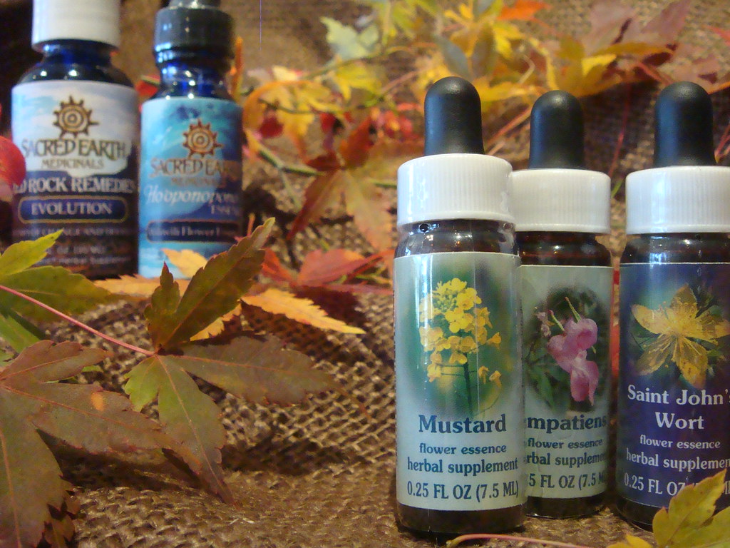 Flower Essences for SAD Flower essences available at HAALo… Flickr