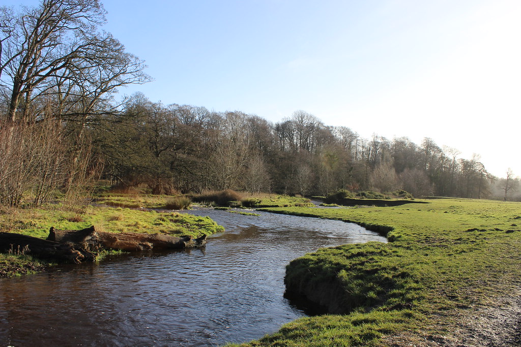 IMG_0321 CoedyGlyn Wood, Wrexham Rebeccawithers Flickr