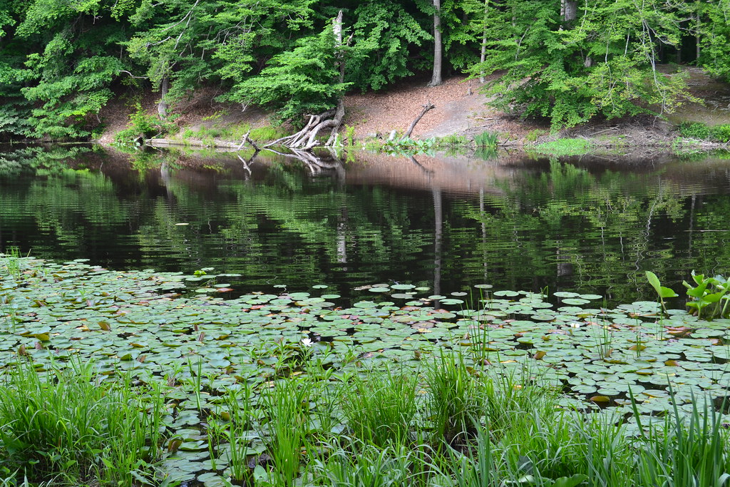 PO Beaver Lake View of Beaver Lake on June 15, 2016. Virginia
