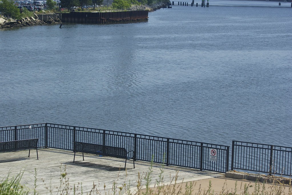 Condor Street Urban Wild Chelsea, Mass. D. Brigham Flickr