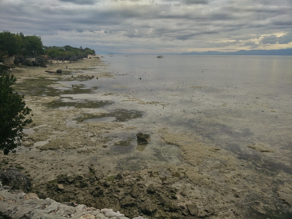 Cebu, Philippines Low tide from Blue Orchid. White sands i… Flickr