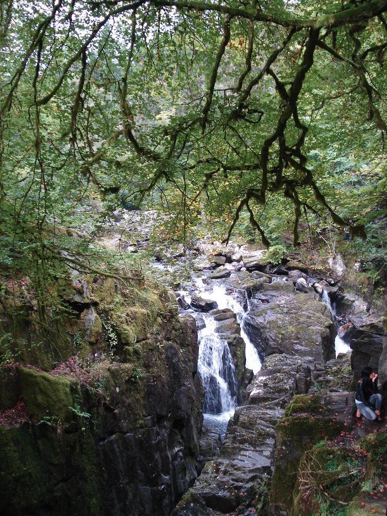 Birnam Woods LornaRphoto Flickr