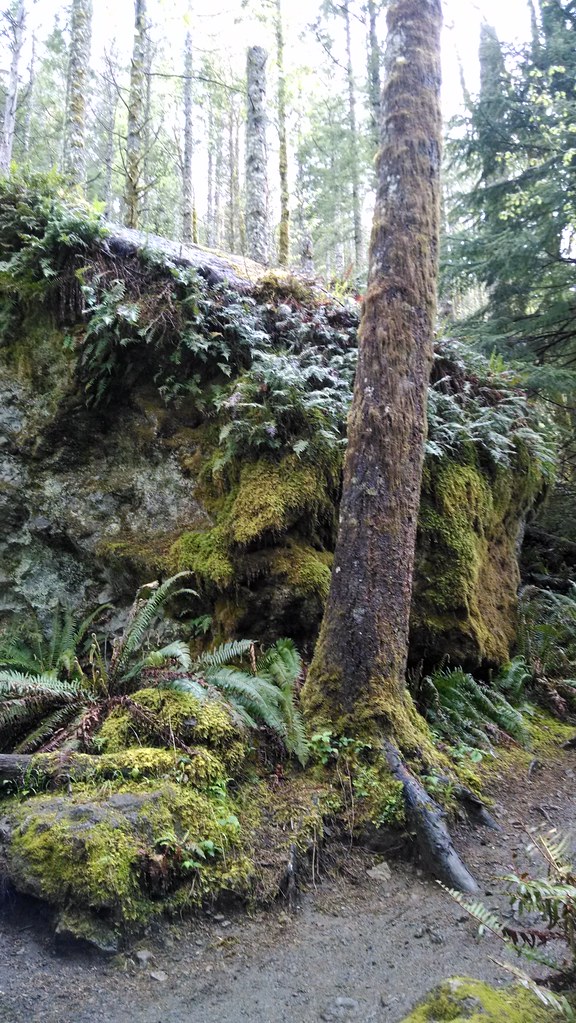 Rattlesnake Lake/Ledge and Tinkham Campground MaeghwynFaerie Flickr