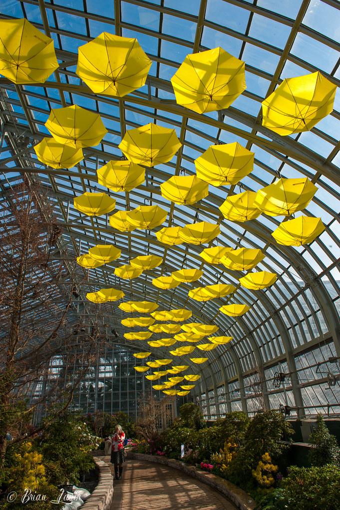 Garfield Park Conservatory A visit to the GPC Brian Lauer Flickr