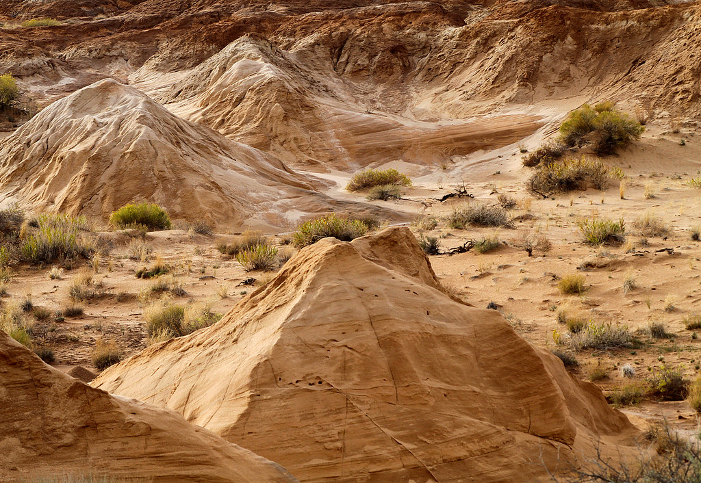 Petrifying Sand dunes slowly turning into sandstone. Anoth… Flickr