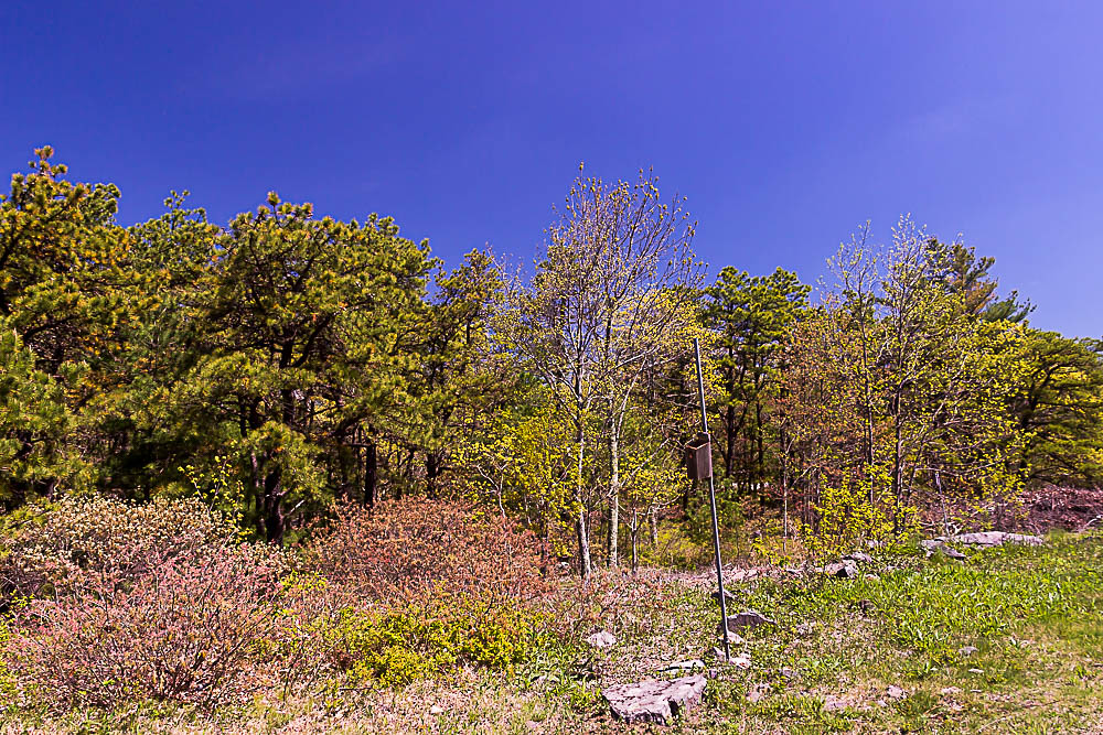 Blue Hills Reservation, May 14, 2016 Blue Hills Reservatio… Flickr