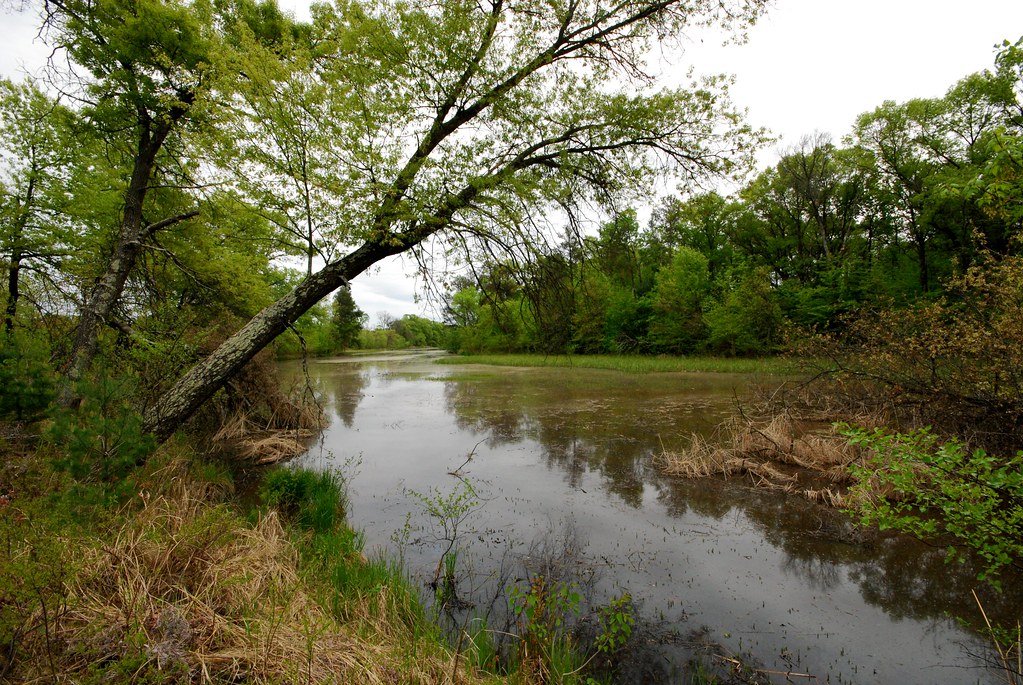 Yellow River Oxbows Yellow River Oxbows Wisconsin State Na… Flickr